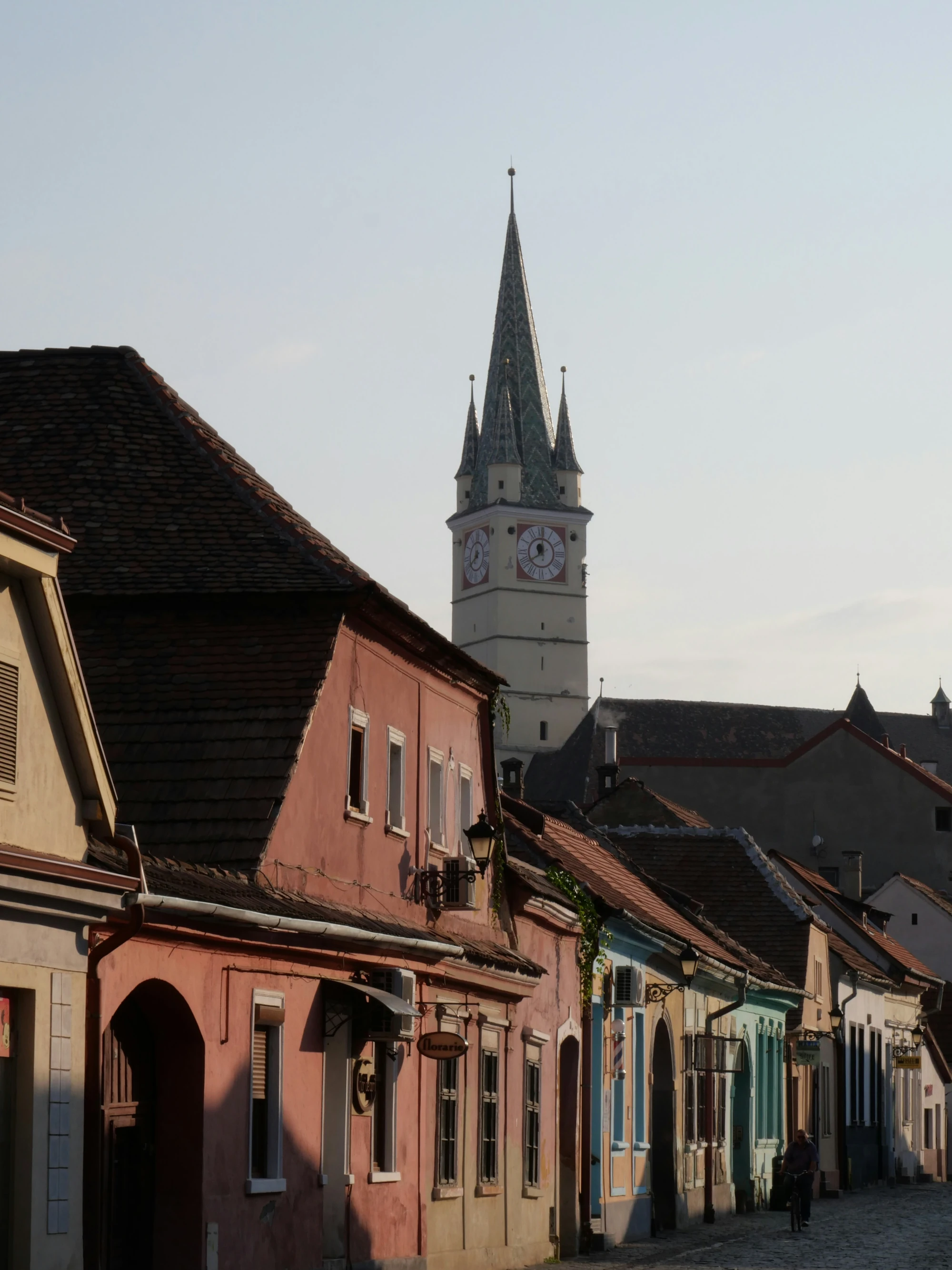 Day 5 Târnave wine region vineyards at Villa Vinea estate